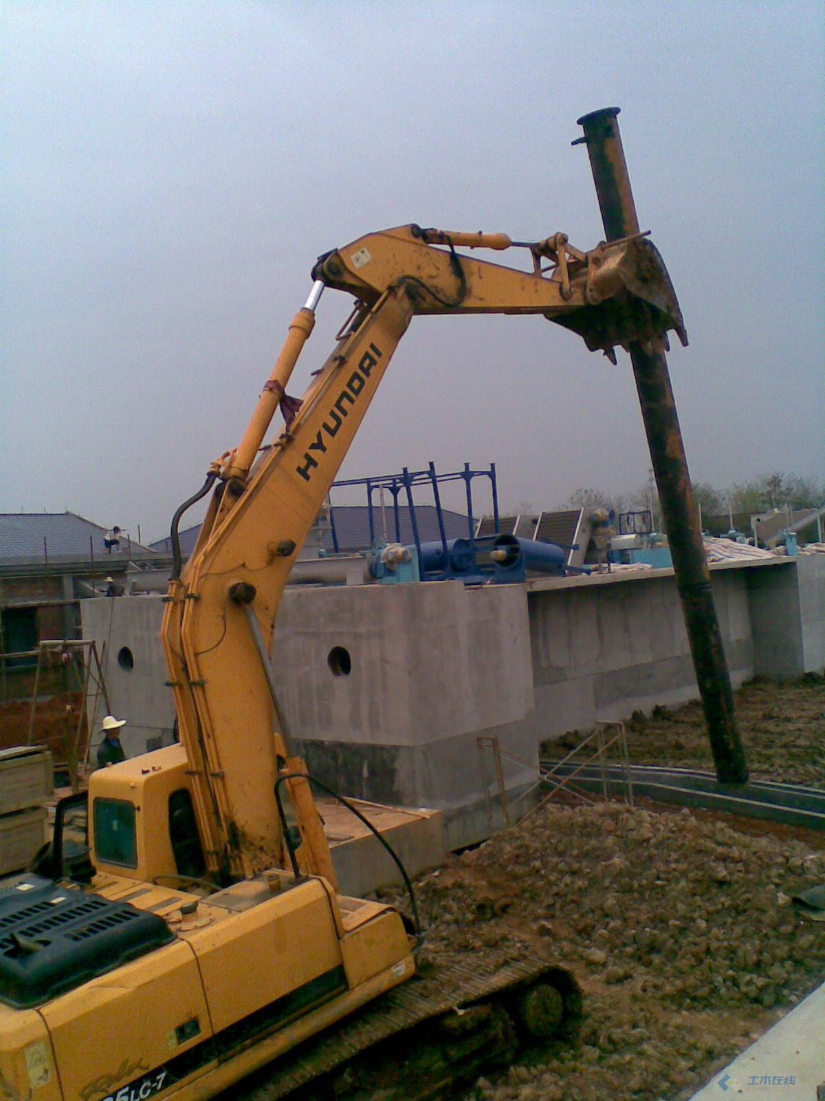 20100405(006).jpg