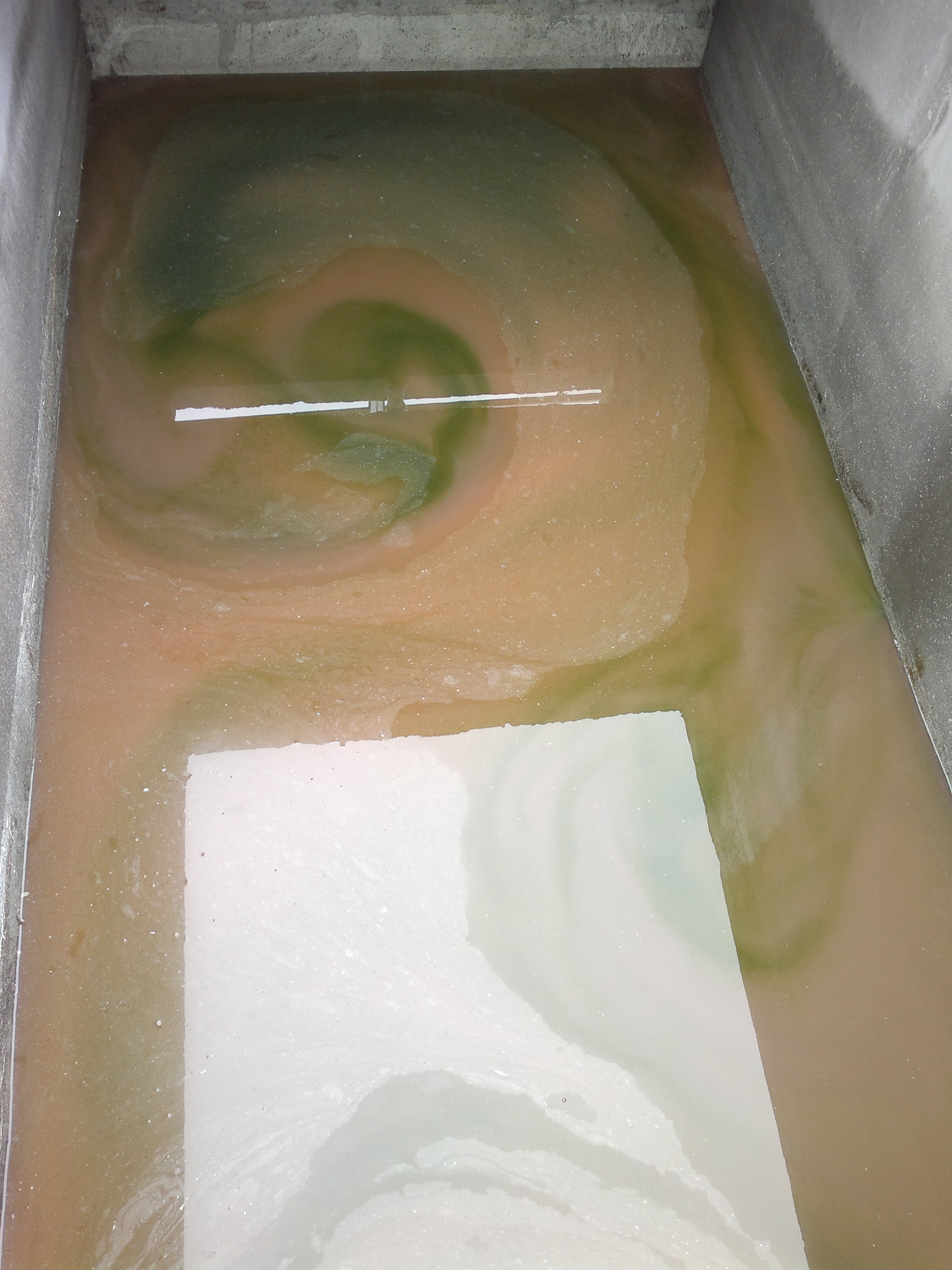 201108111061.jpg