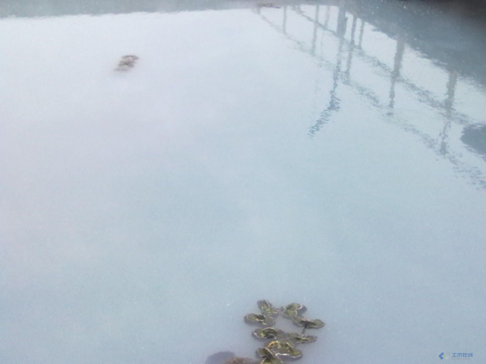 20110222619.jpg