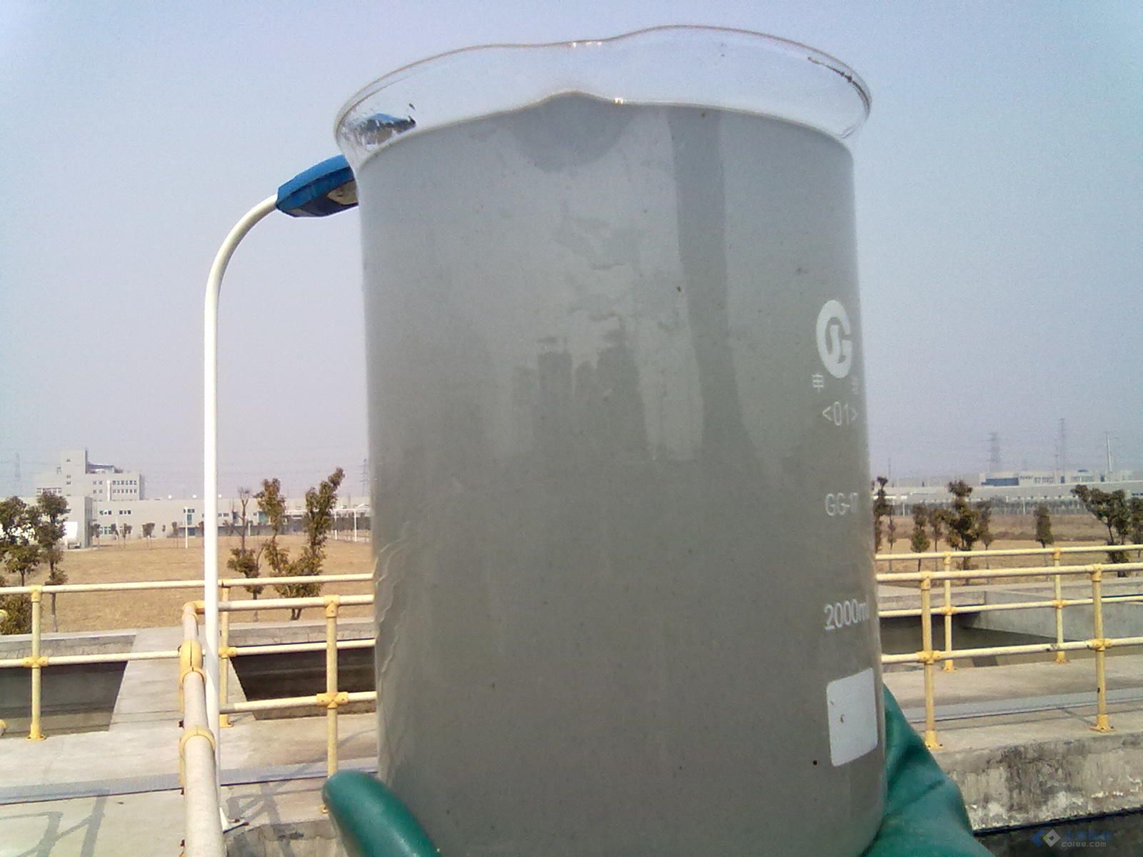 20110302649.jpg
