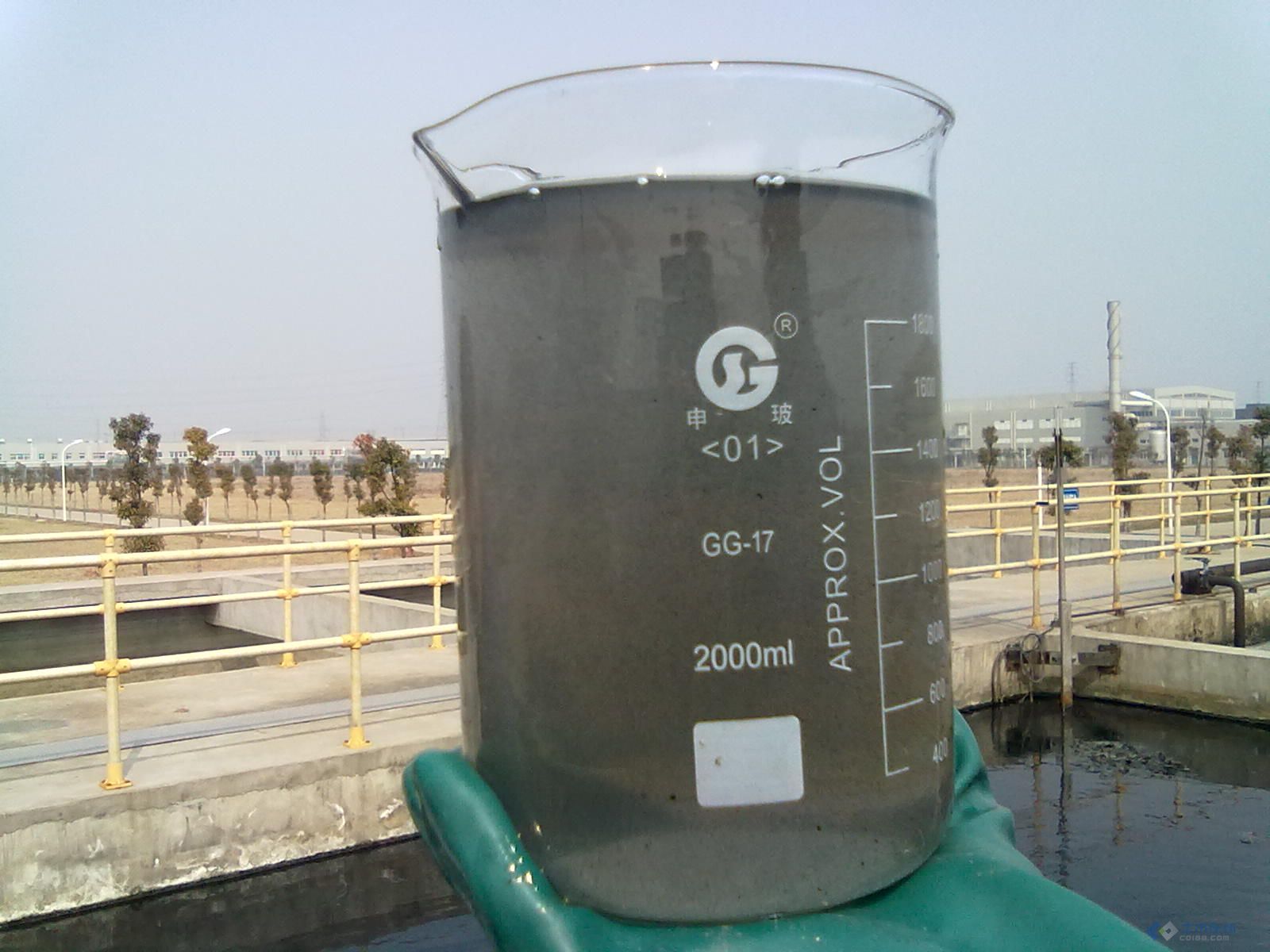 20110302650.jpg