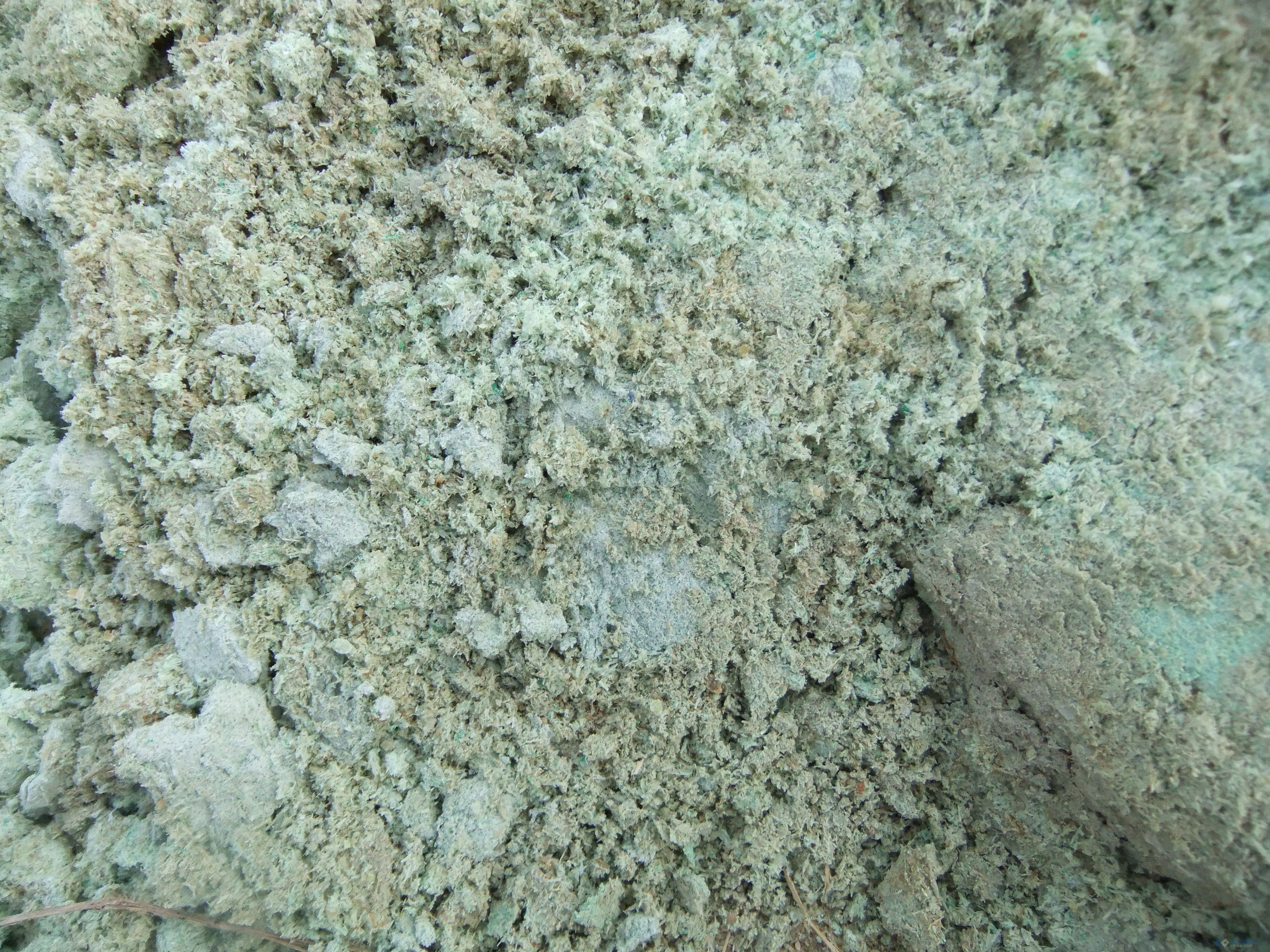 DSCF6148.JPG