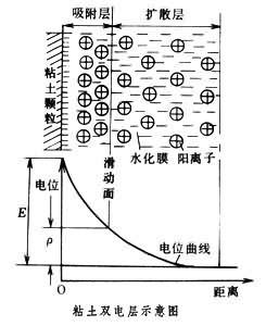 ཬ廯ѧ