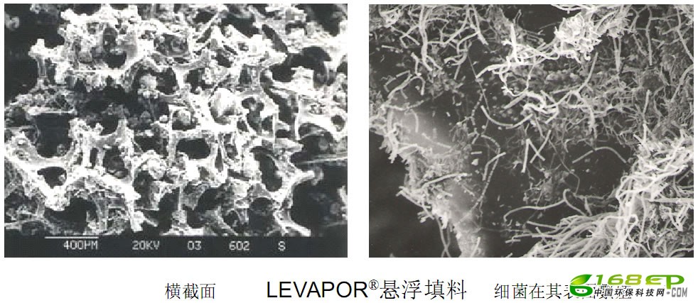LEVAPORĤմŨȰҵˮ