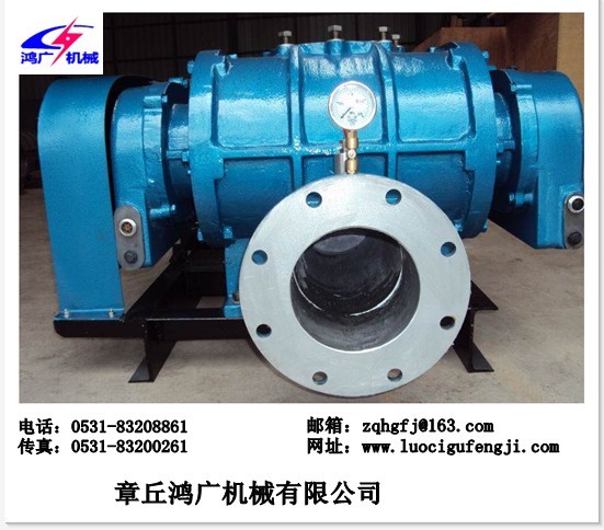 MSR250.jpg