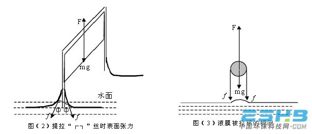 14073789536462325.jpg