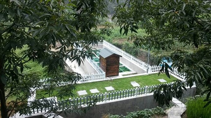 timg (5)ֶ.jpg