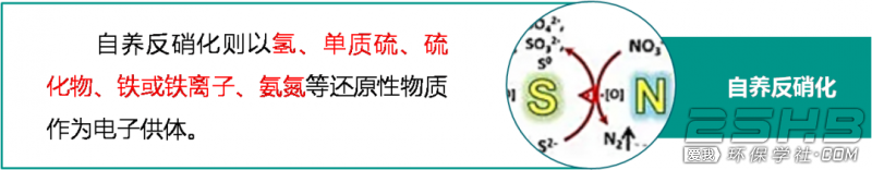 135731351.png