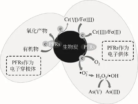 3.webp.jpg